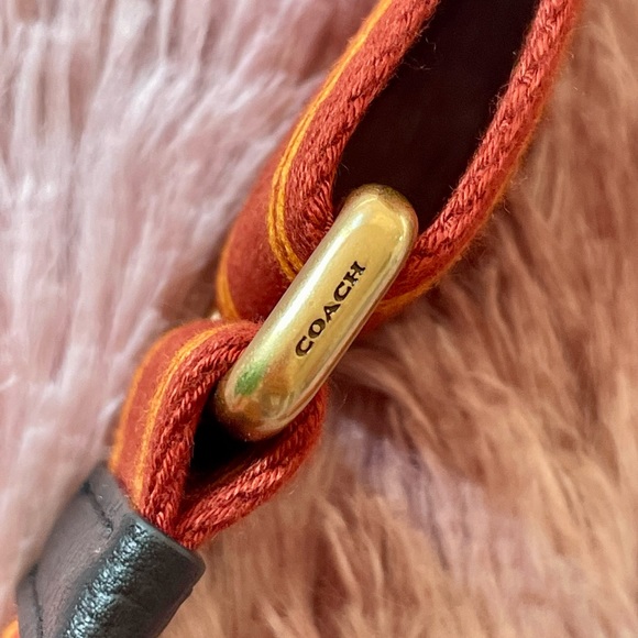 coach web strap